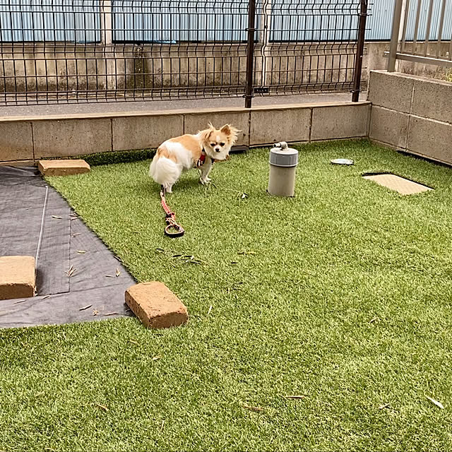 yoさんの実例写真