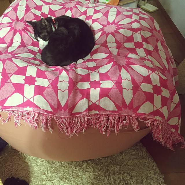hanaさんの実例写真