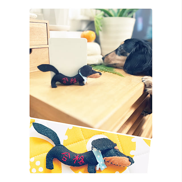 yukoさんの実例写真