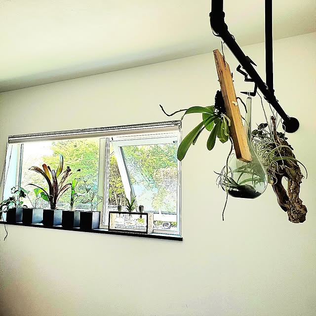 rimoleoさんの実例写真