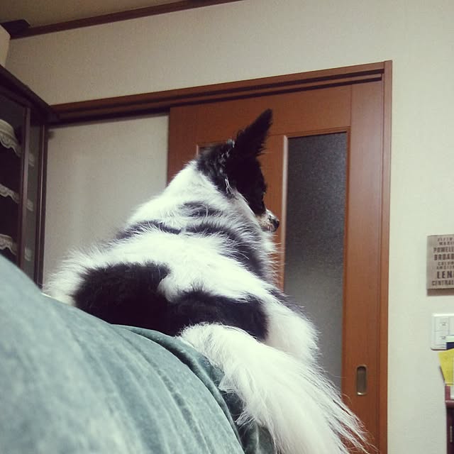 Smileberryさんの実例写真