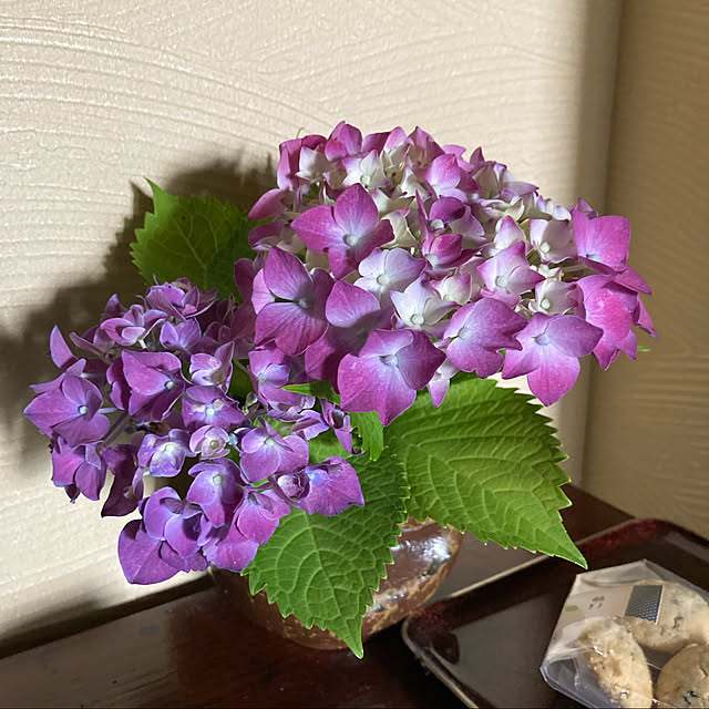 goeさんの実例写真