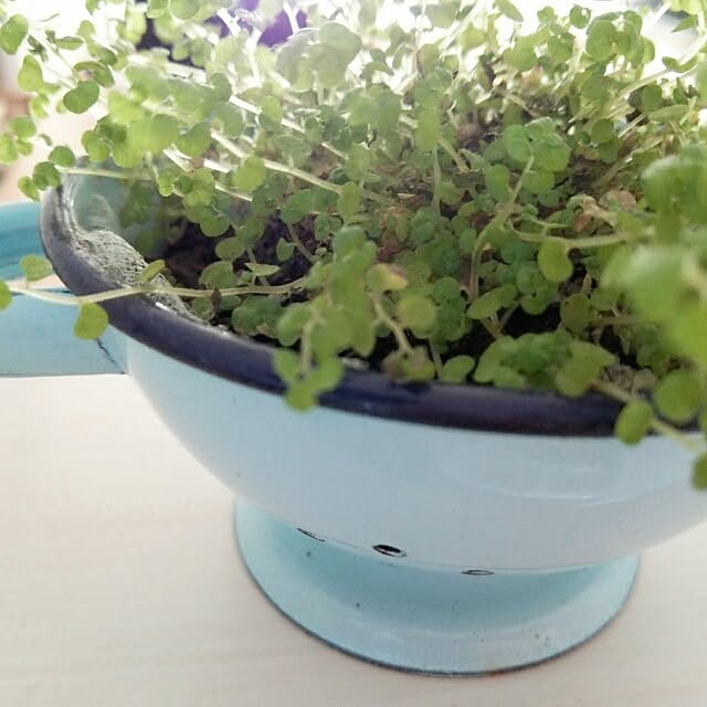 kokkomachaさんの実例写真