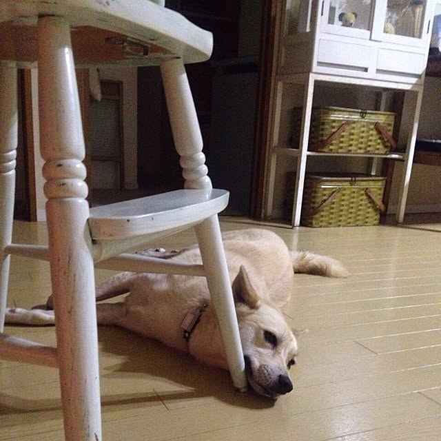 leonaさんの実例写真
