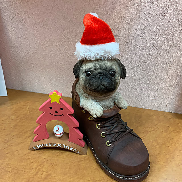 akochanさんの実例写真