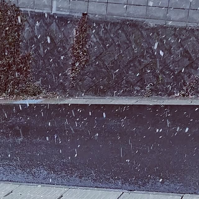 mocomocoさんの実例写真