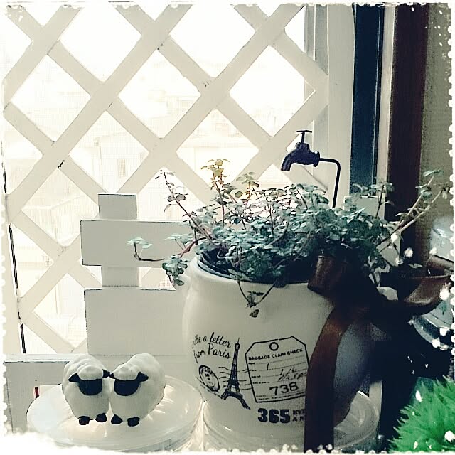 OBTERNIR88filerさんの実例写真