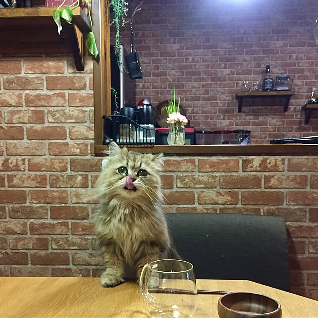 butachanさんの実例写真