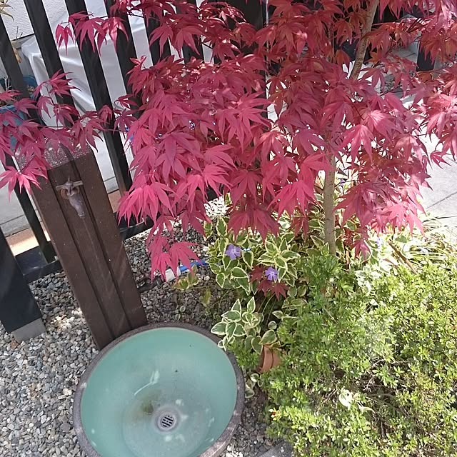 wakaba223さんの実例写真