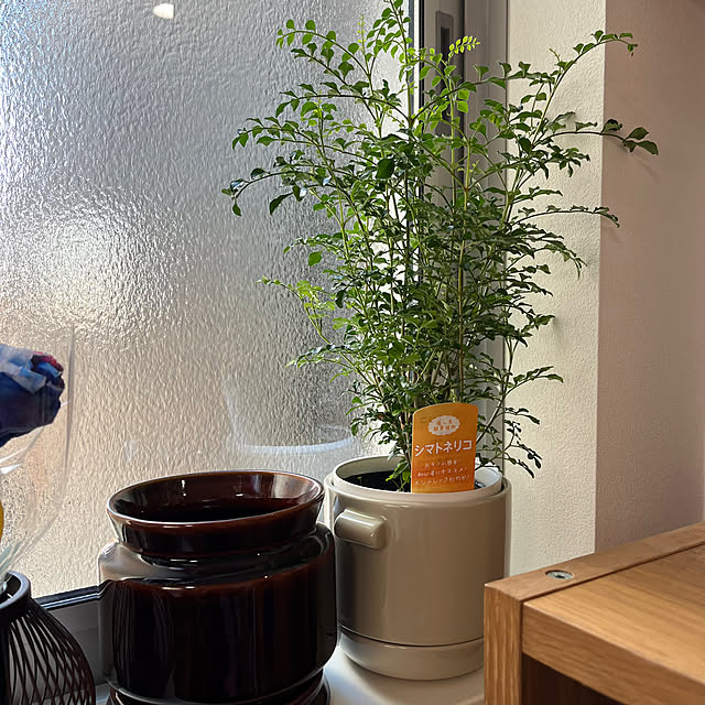 isochanさんの実例写真