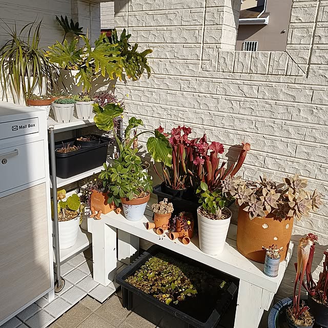 soyokoさんの実例写真