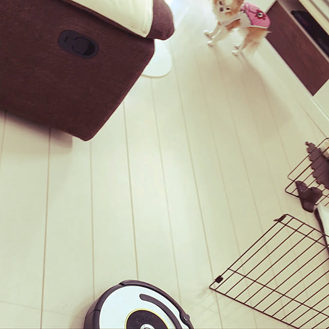 ma_mocha_naさんの実例写真
