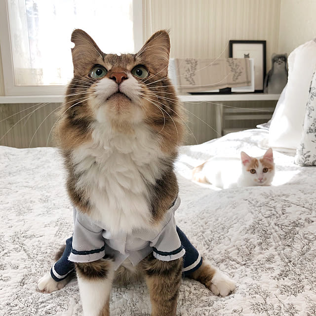 yuchiさんの実例写真
