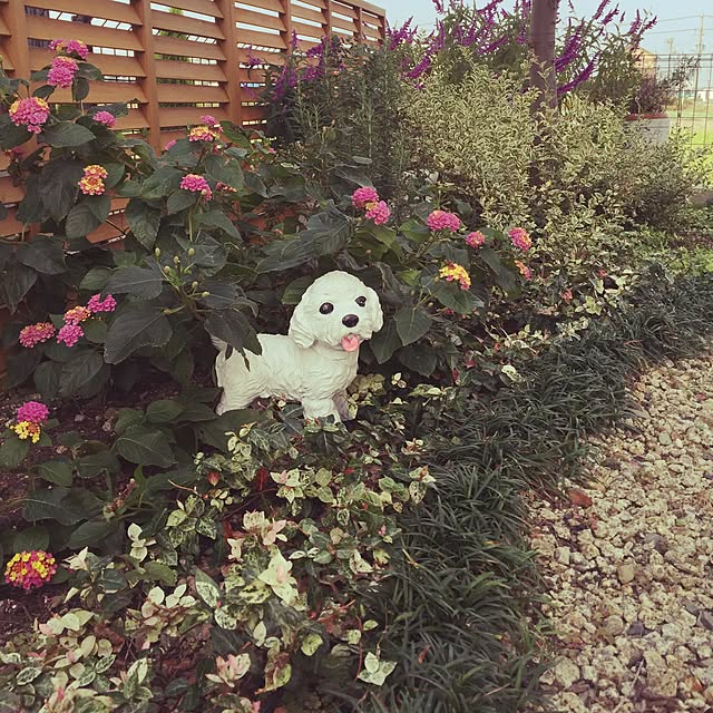 Maruさんの実例写真