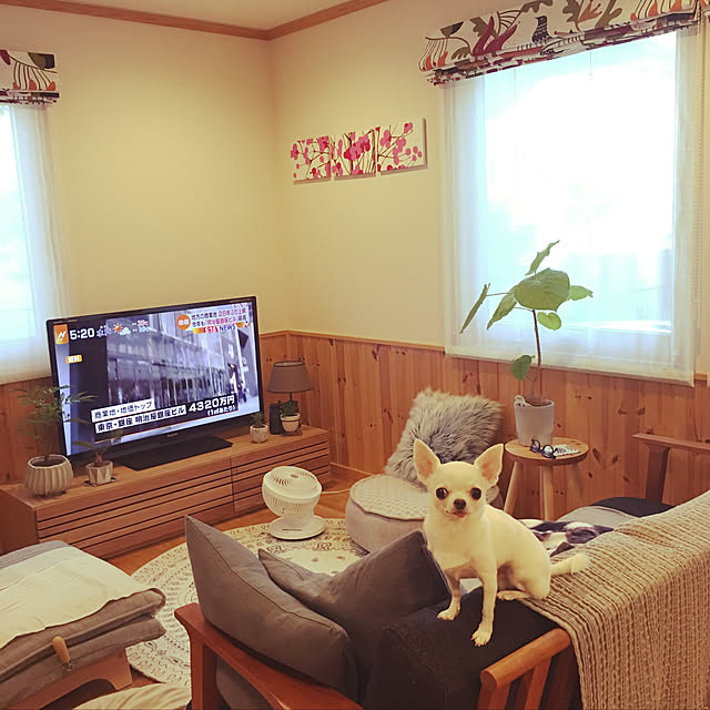 tomoさんの実例写真