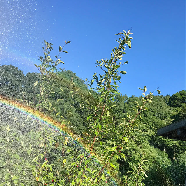 sakurasakuさんの実例写真