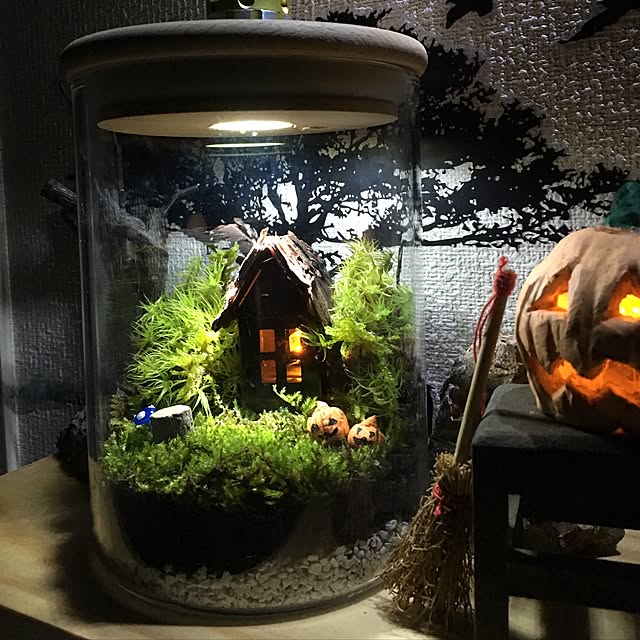 mosslightさんの実例写真