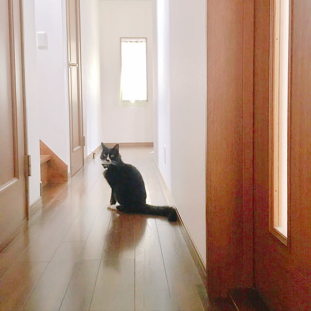 kanaさんの実例写真
