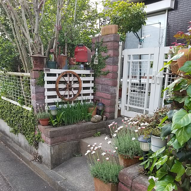 midoriさんの実例写真