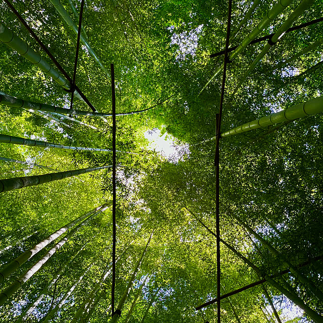 65-24oxoさんの部屋