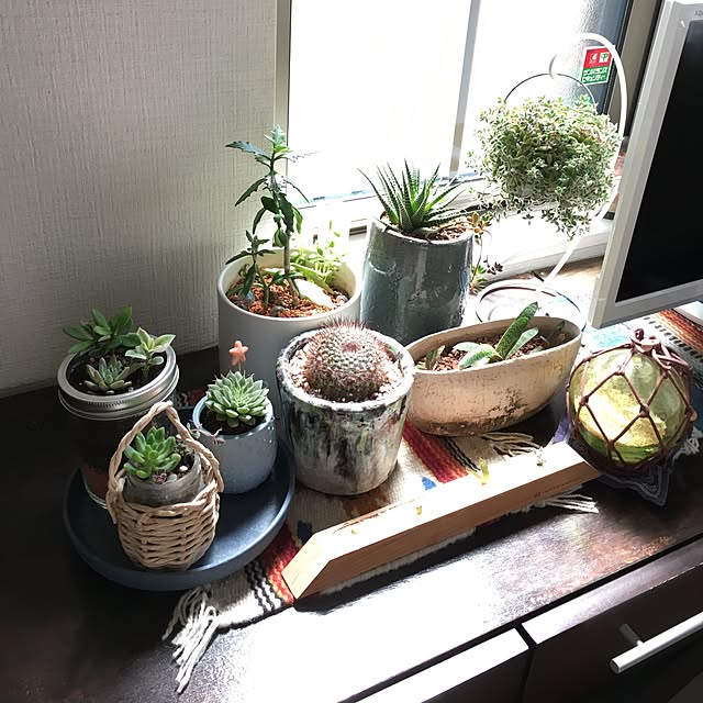 ainowa.さんの実例写真