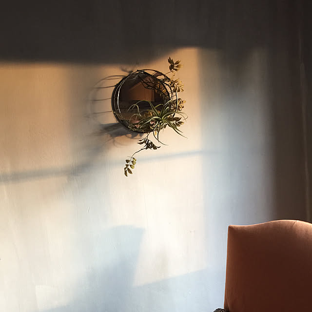 iireyさんの実例写真