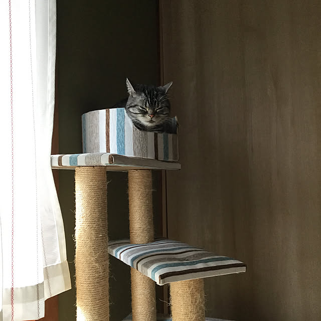 richanさんの実例写真