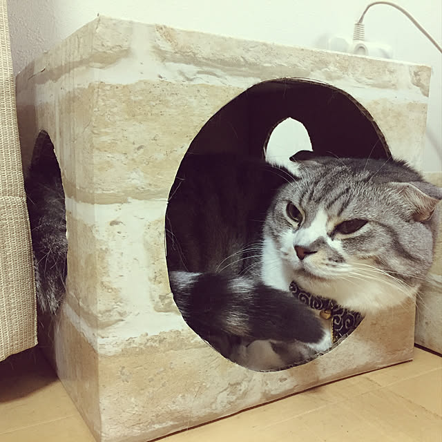 acoさんの実例写真