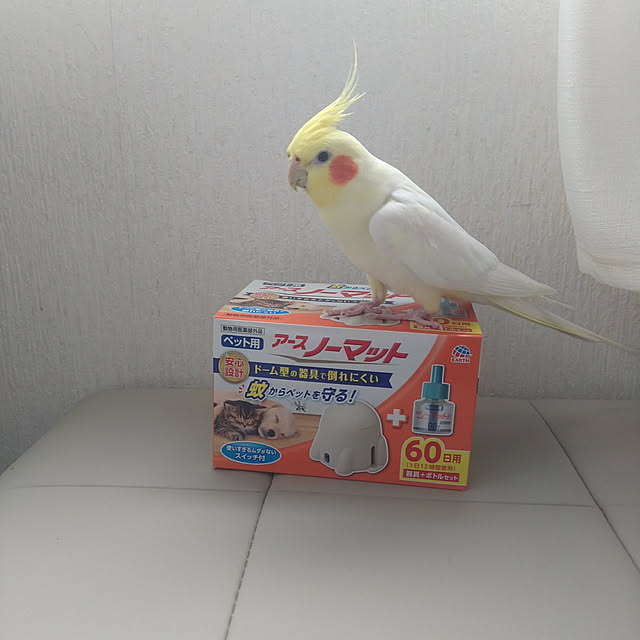 toratanさんの実例写真