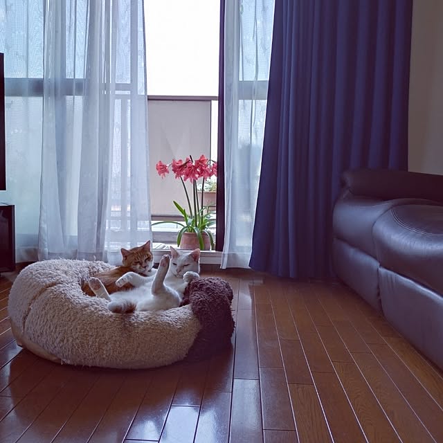 NOAHさんの部屋