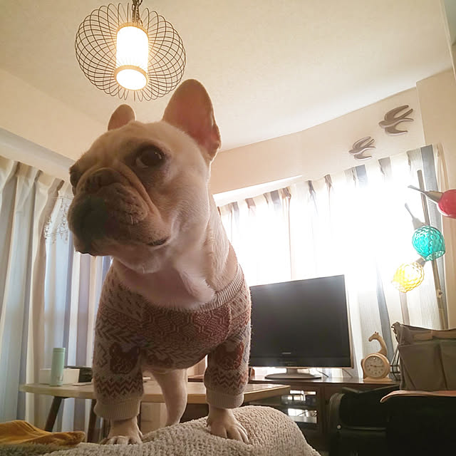 miki_kuma_koさんの実例写真