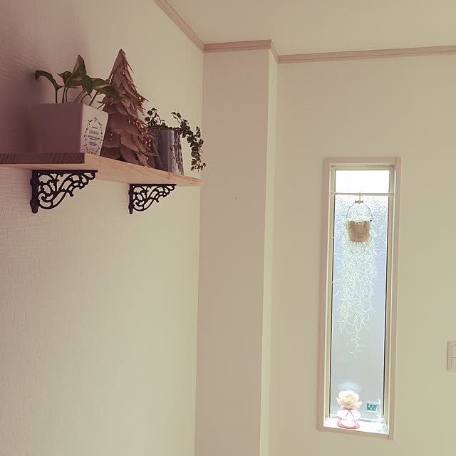 Kokoさんの実例写真