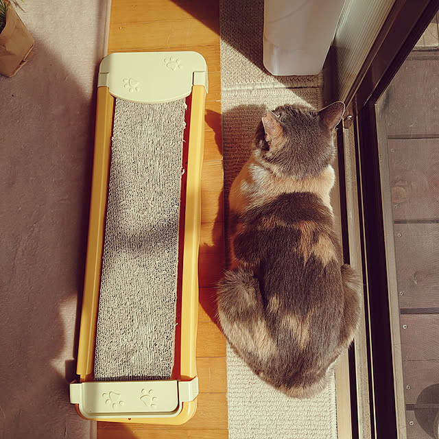 fukuさんの実例写真