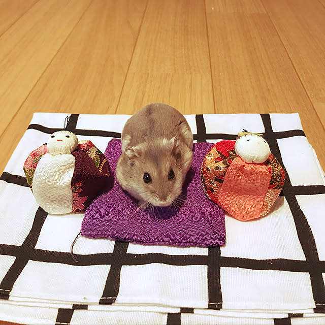 nanami008さんの実例写真