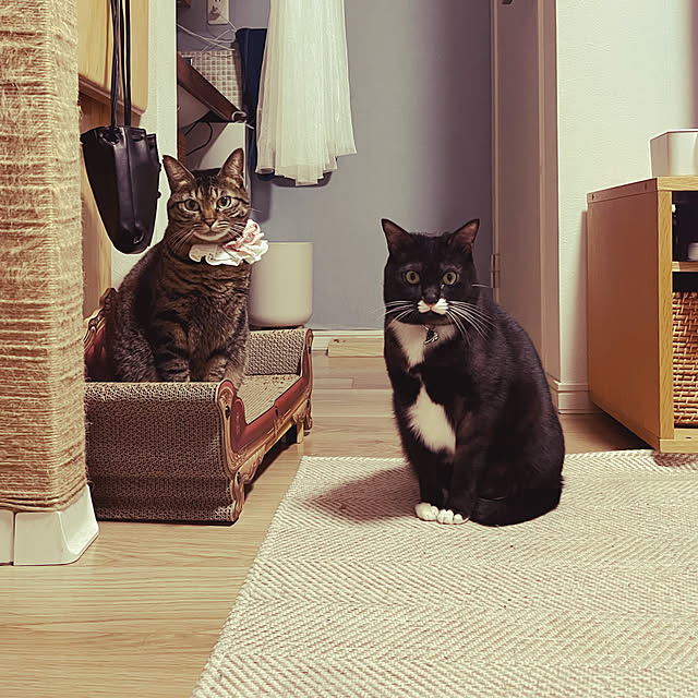 masamasaさんの部屋