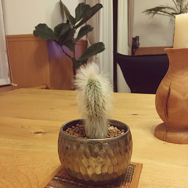 nazuki.0608さんの実例写真