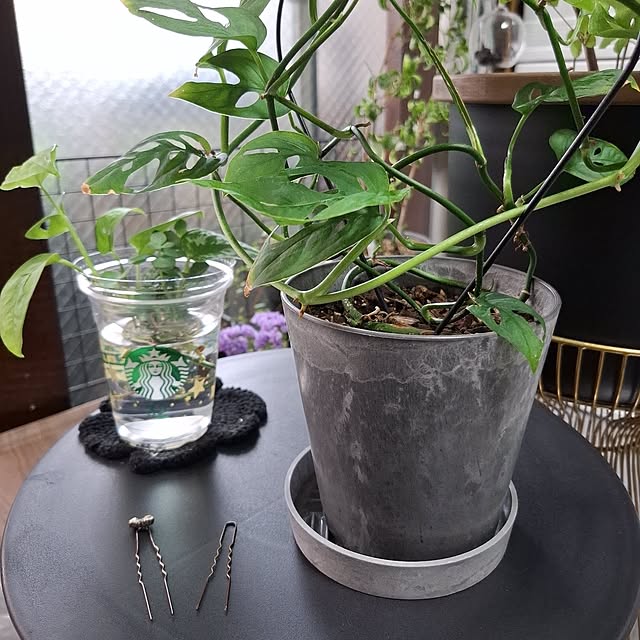 noaさんの部屋
