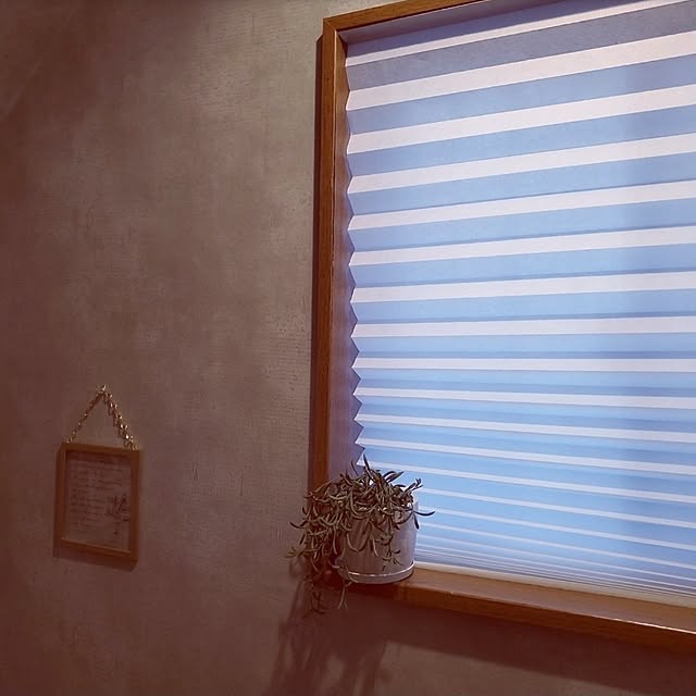 cocoaさんの部屋