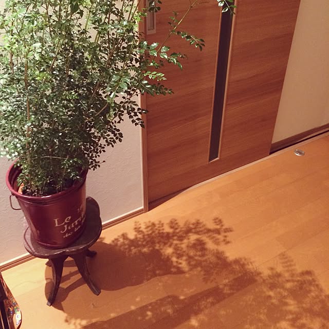 rukoさんの実例写真
