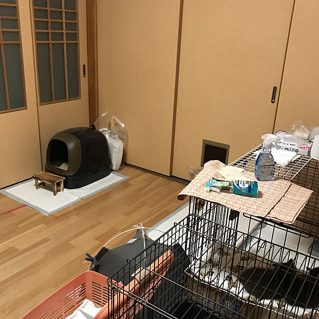 daikichiさんの実例写真
