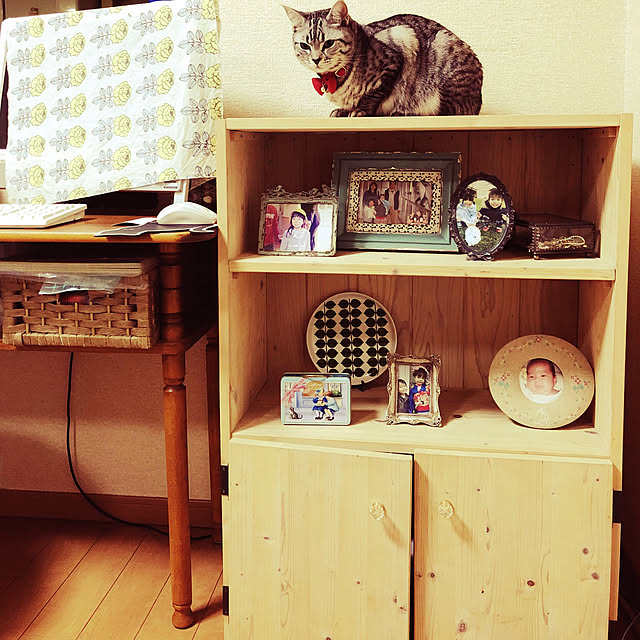 chipsさんの実例写真