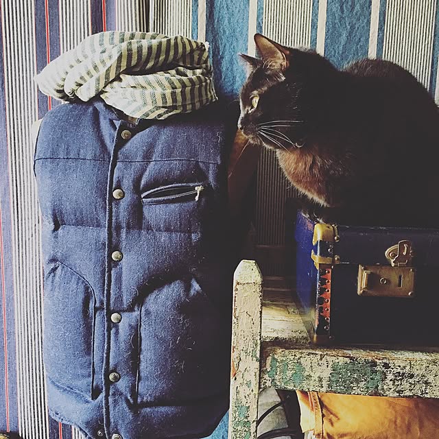 Naoki.さんの実例写真