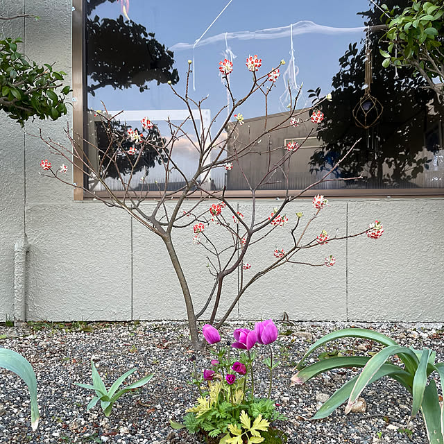 shin0719さんの部屋