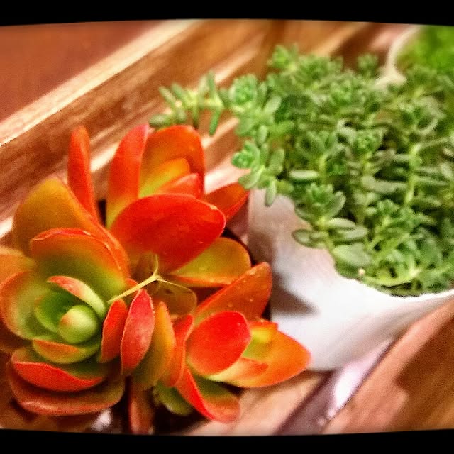 emichonさんの実例写真