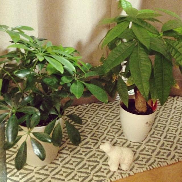 takさんの実例写真