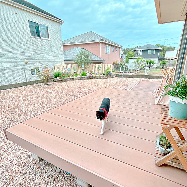 moolさんの実例写真