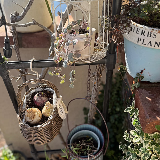 asako.10さんの実例写真