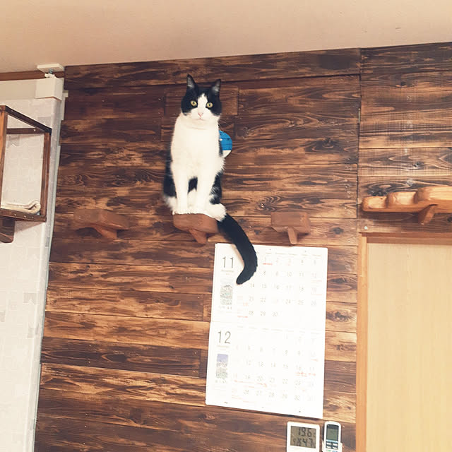 kazumiさんの実例写真