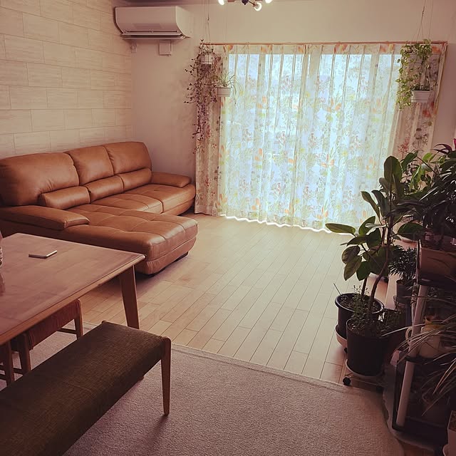 panさんの実例写真