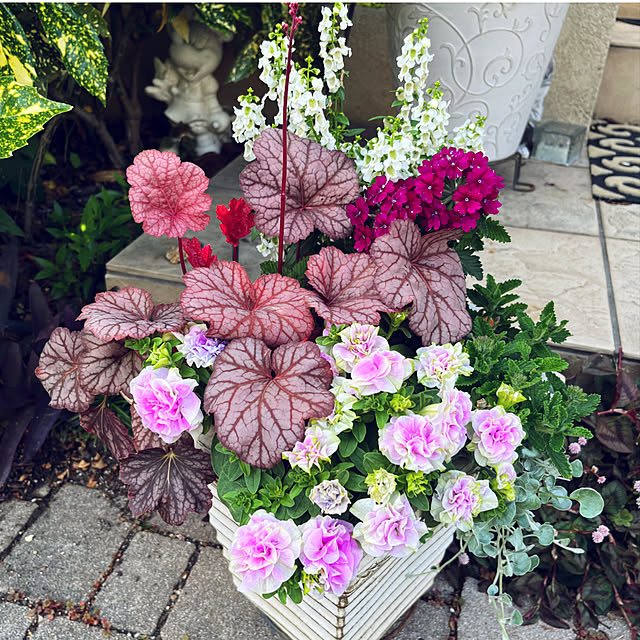 yukarin-gardenさんの実例写真